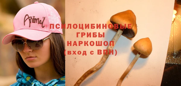 дмт Верхний Тагил