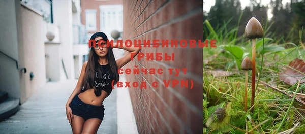 дмт Верхний Тагил