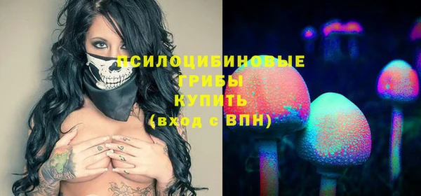 дмт Верхний Тагил