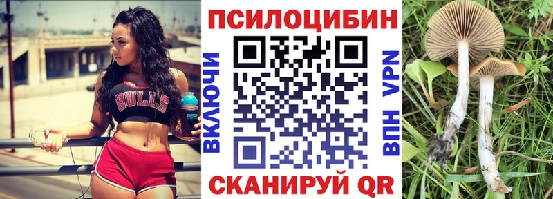 Галлюциногенные грибы мухоморы  Луза 