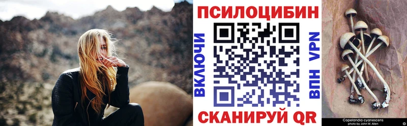 Псилоцибиновые грибы Psilocybe Луза